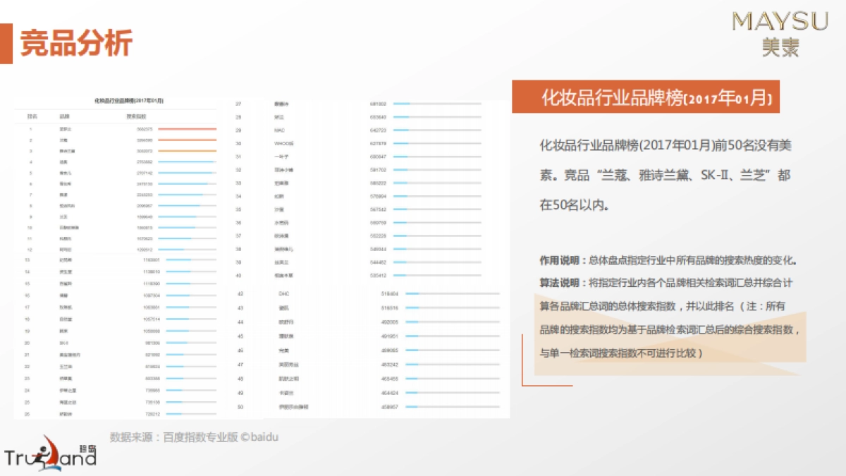 美素化妆品互联网整合营销方案_第10页