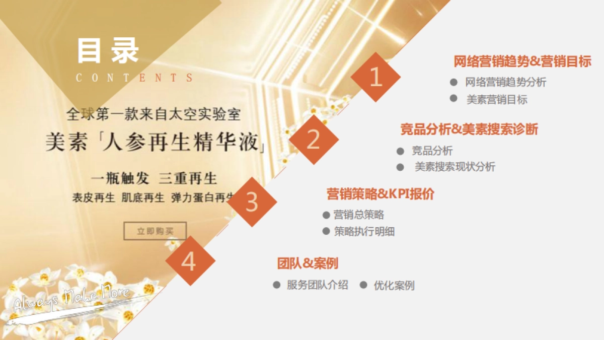 美素化妆品互联网整合营销方案_第2页
