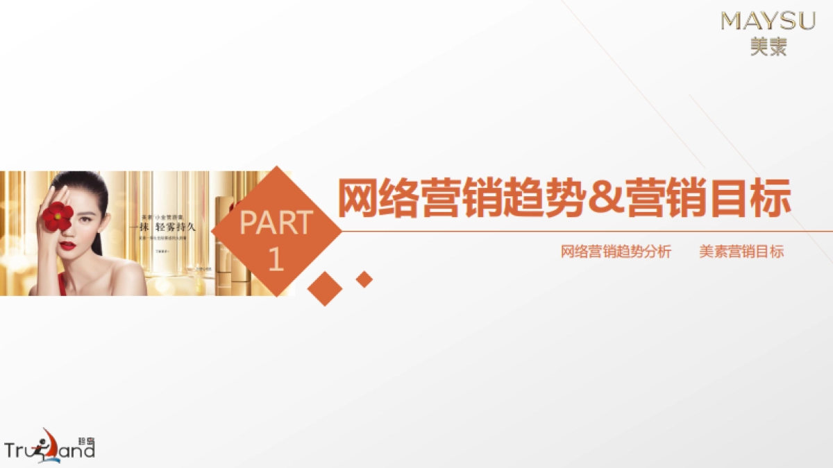 美素化妆品互联网整合营销方案_第3页