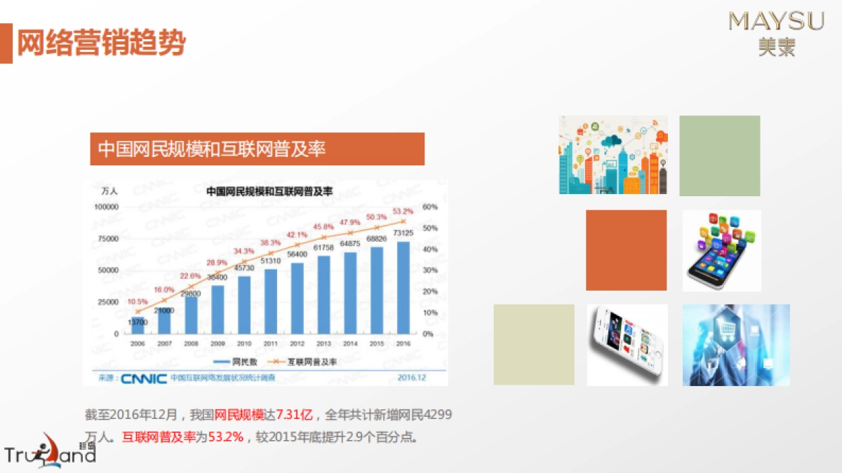 美素化妆品互联网整合营销方案_第4页