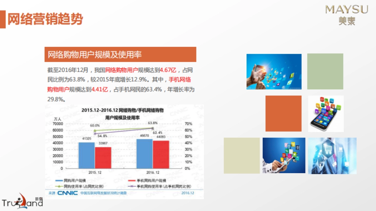 美素化妆品互联网整合营销方案_第7页
