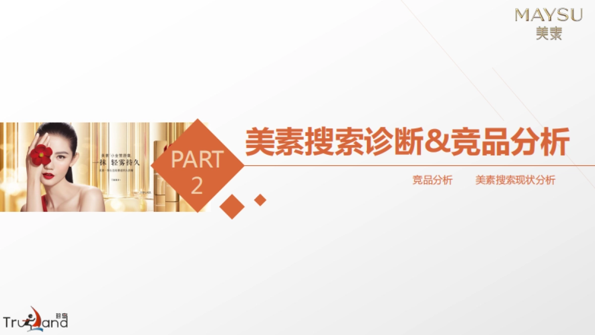 美素化妆品互联网整合营销方案_第9页