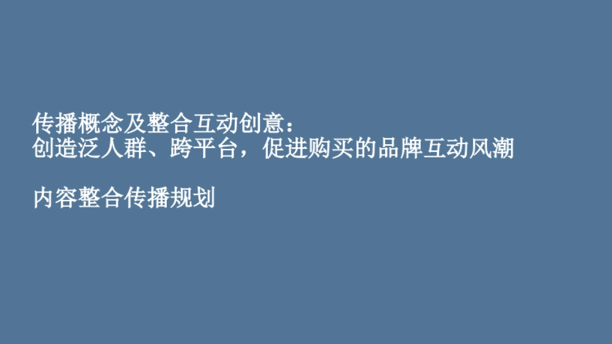 妮维雅男士世界杯整合战役之营销目标_第2页