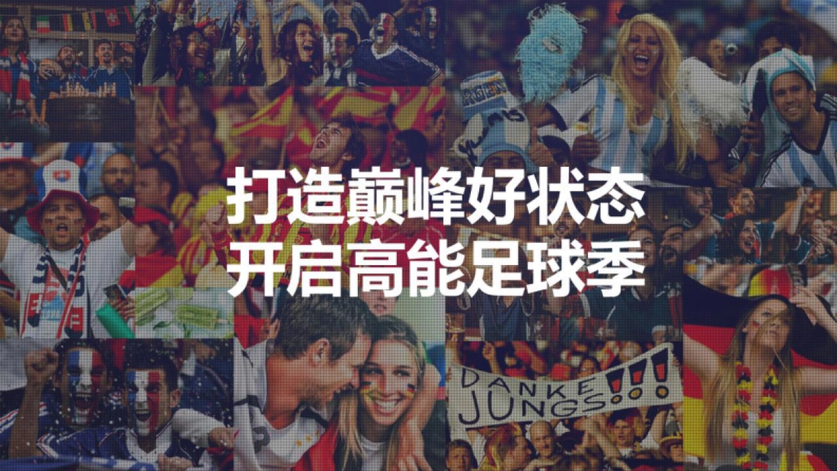 妮维雅男士世界杯整合战役之营销目标_第5页