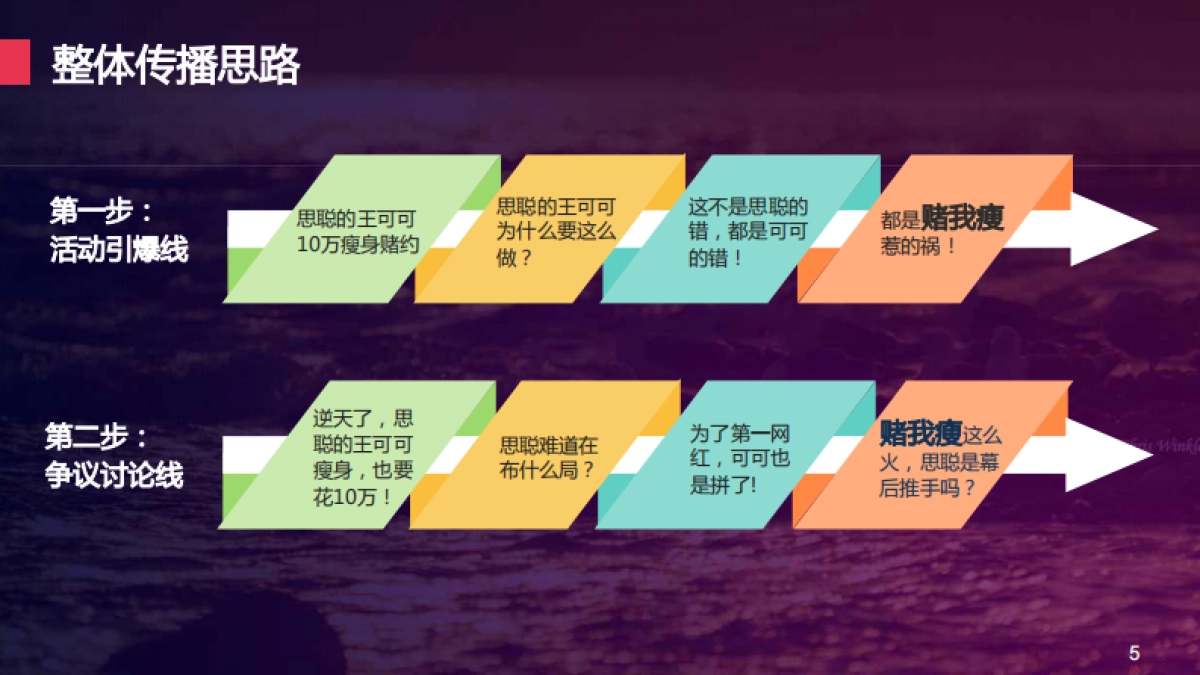 欧赛斯赌我瘦事件营销方案整合_第5页