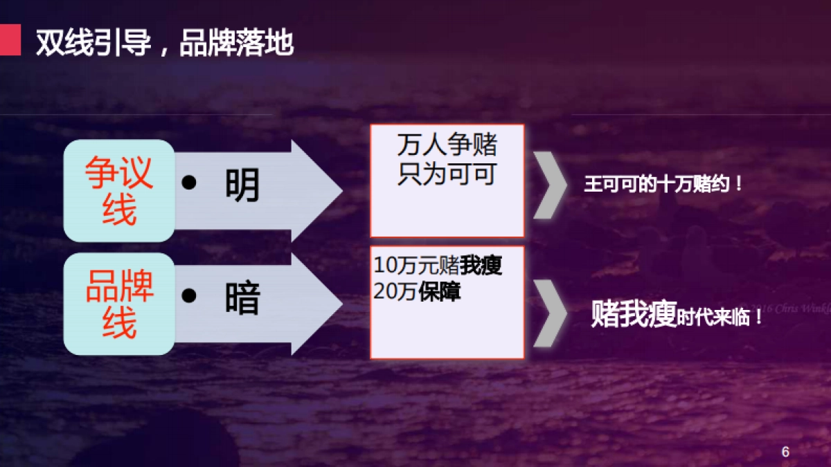 欧赛斯赌我瘦事件营销方案整合_第6页