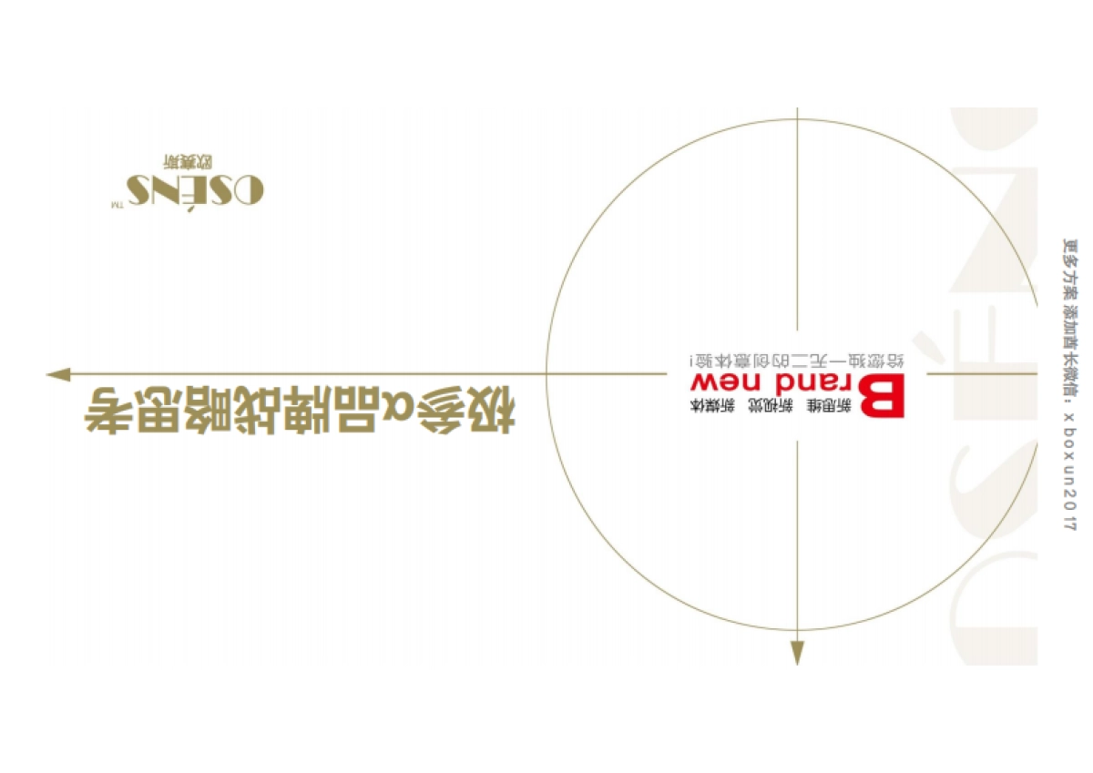 欧赛斯极参α人参含片品牌策划定位及整合营销创意规划案_第1页