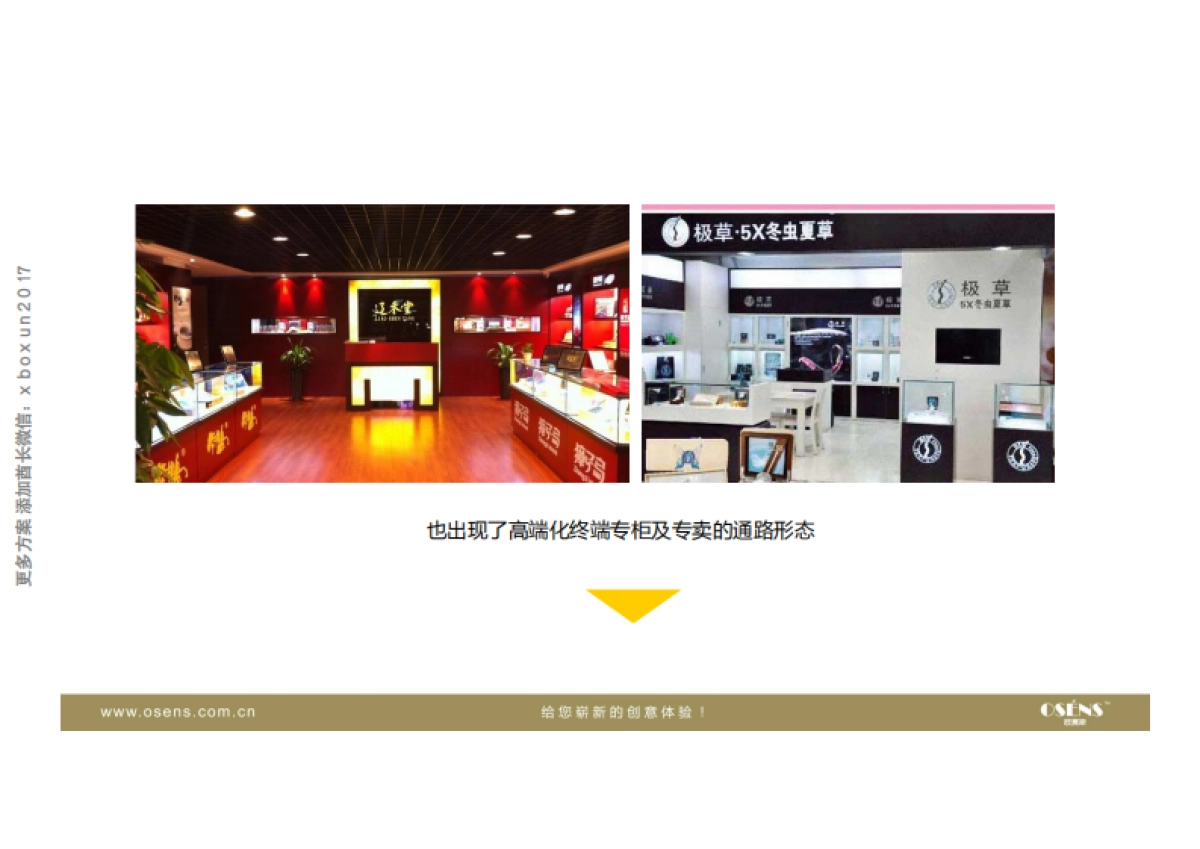 欧赛斯极参α人参含片品牌策划定位及整合营销创意规划案_第10页