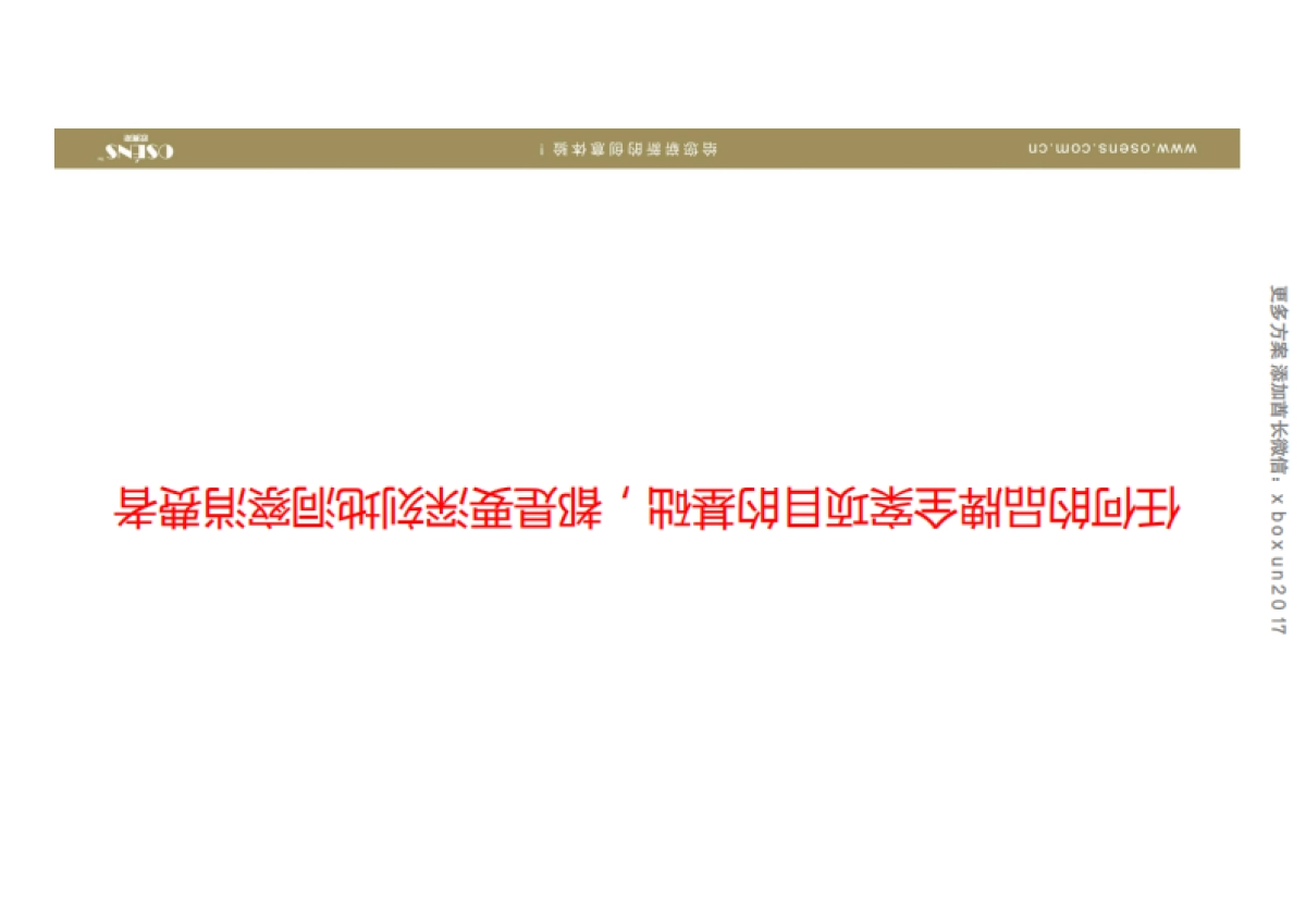 欧赛斯极参α人参含片品牌策划定位及整合营销创意规划案_第2页