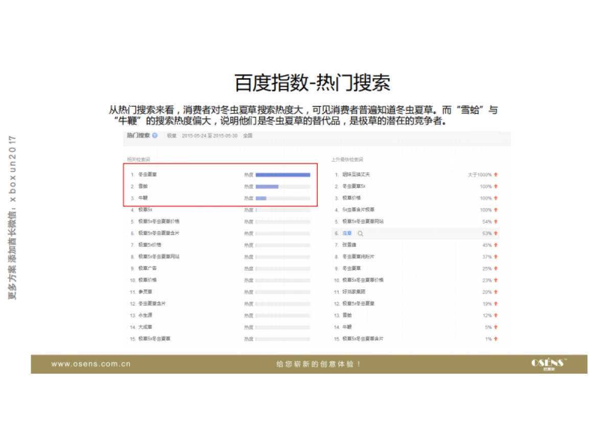 欧赛斯极参α人参含片品牌策划定位及整合营销创意规划案_第6页