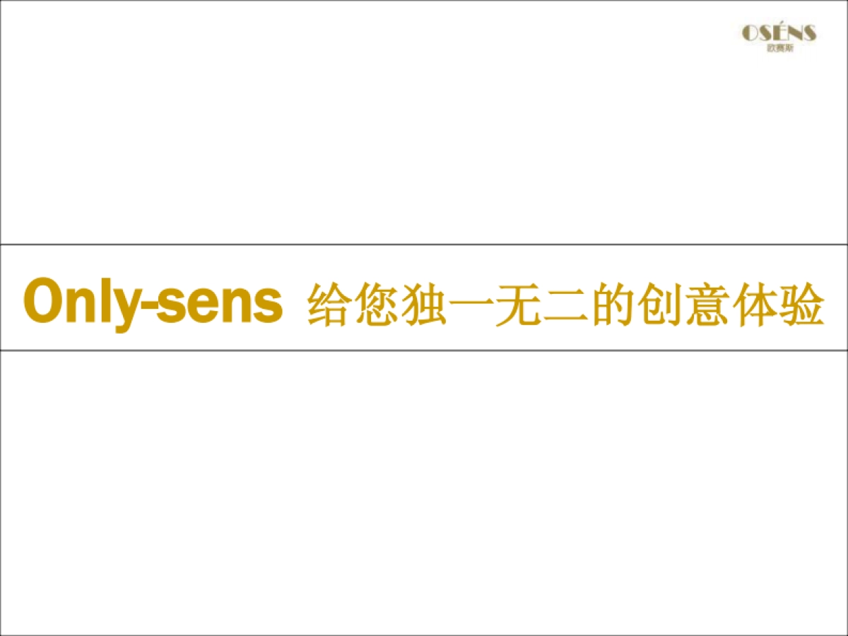 欧赛斯麦鞋趣网络整合营销方案_第2页
