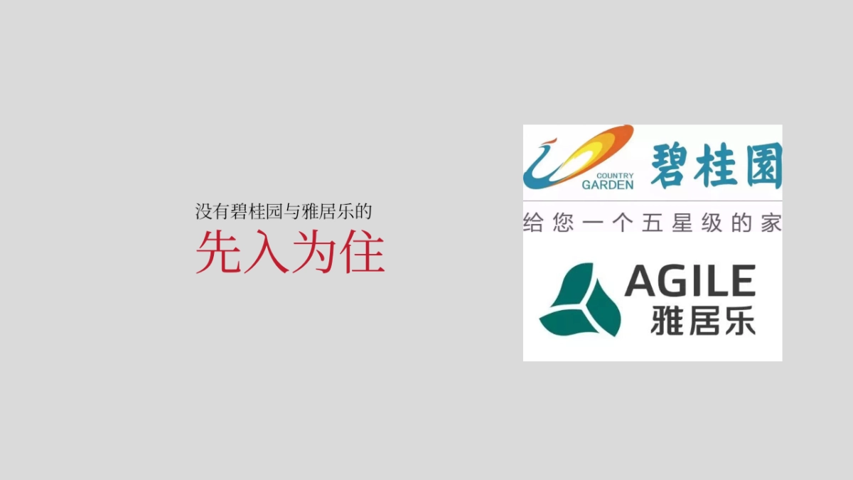 2020年深圳心生万物-时代倾城(河源)整合传播方案_第5页