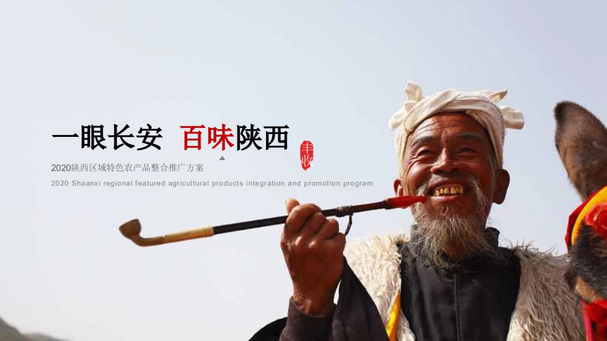 2020陕西区域特色农产品(一眼长安 百味陕西主题)整合推广方案_第1页