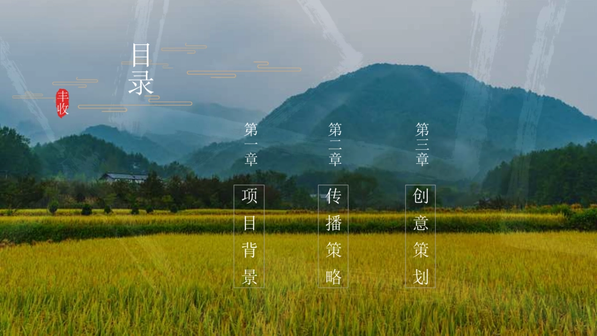 2020陕西区域特色农产品(一眼长安 百味陕西主题)整合推广方案_第8页