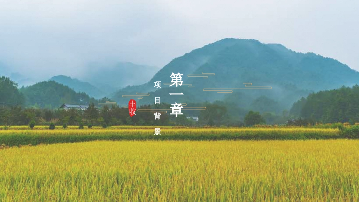 2020陕西区域特色农产品(一眼长安 百味陕西主题)整合推广方案_第9页