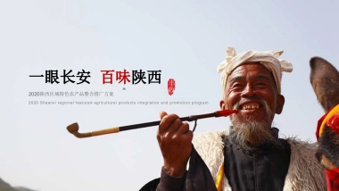 2020陕西区域特色农产品（一眼长安  百味陕西主题）整合推广方案