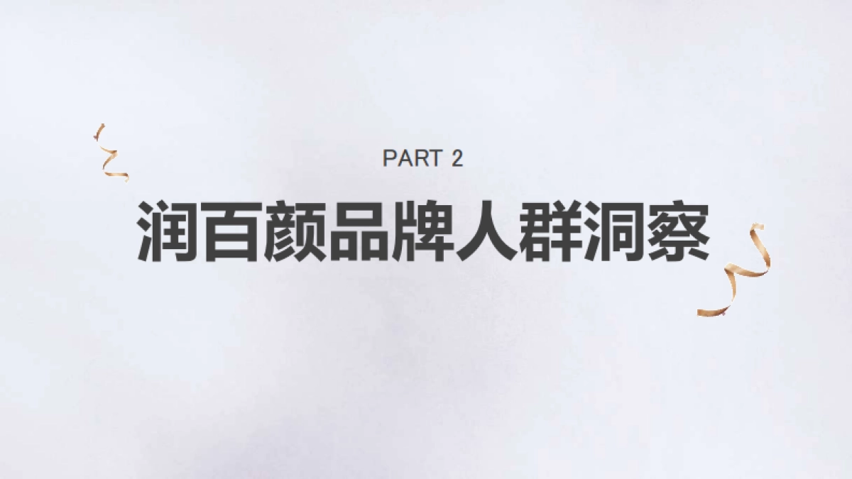 润百颜整合营销方案_第10页