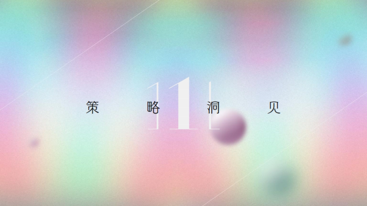 商业地产项目年度整合传播方案_第3页