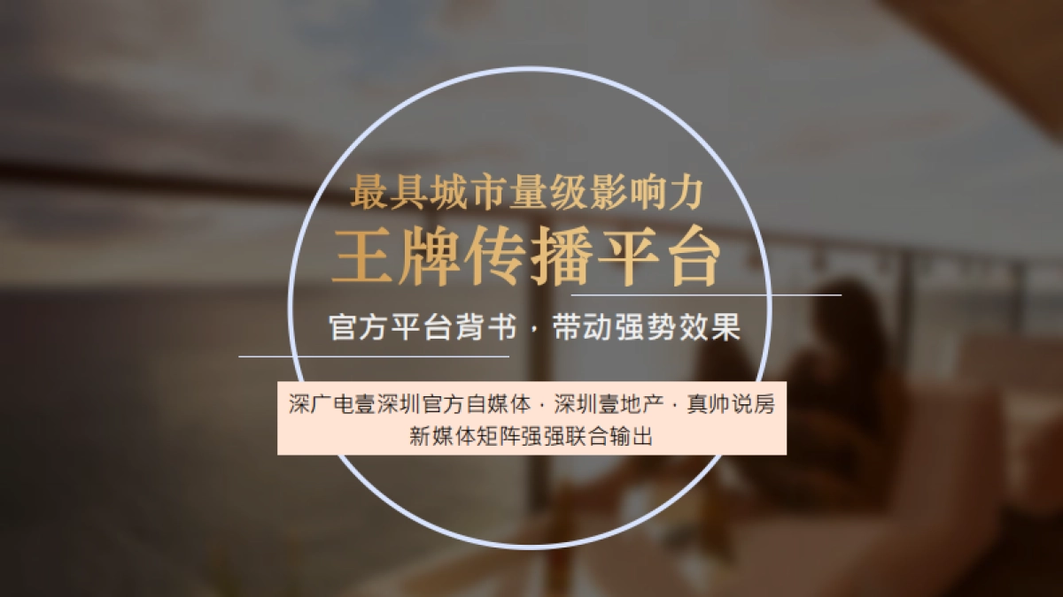 深铁阅山境花园整合资源事件营销专案_第8页