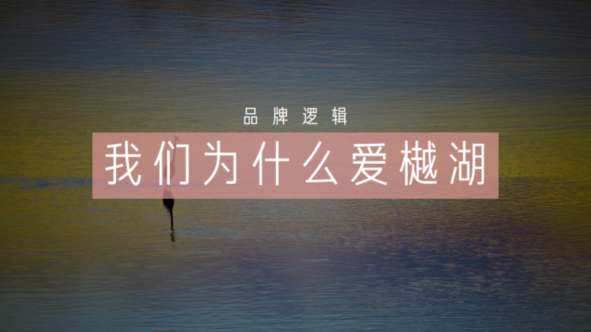 深圳道里-绿地中国广佛樾湖超级湖托邦整合传播案_第10页