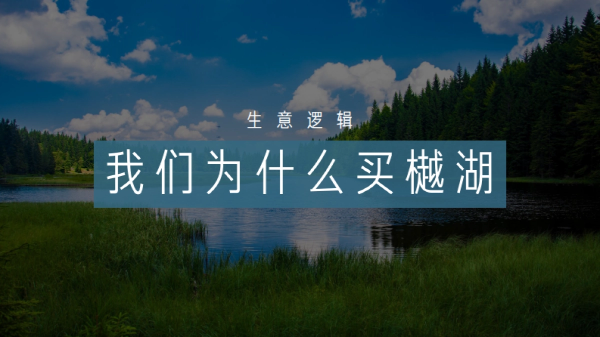 深圳道里-绿地中国广佛樾湖超级湖托邦整合传播案_第6页