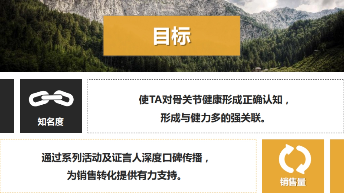 汤臣倍健健力多整合营销方案_第2页