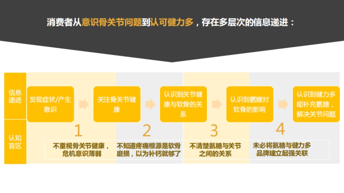 汤臣倍健健力多整合营销方案_第5页