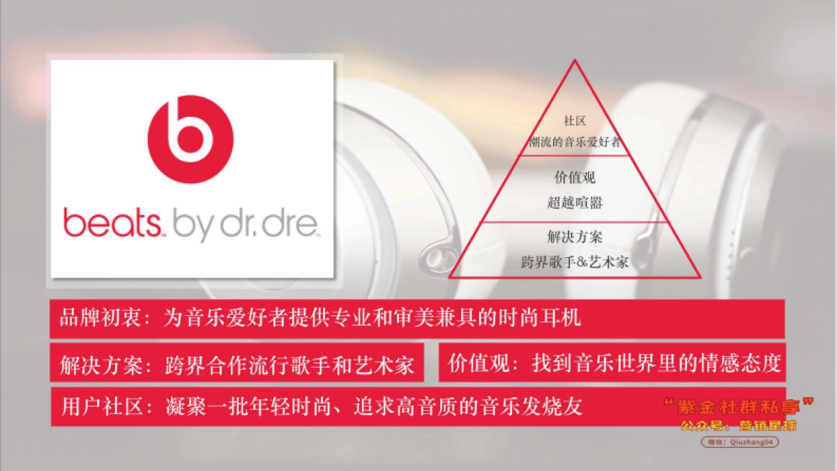 迅雷品牌升级整合传播案_第9页