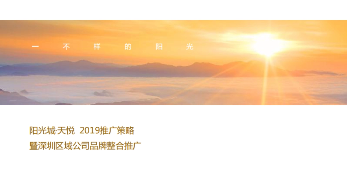 阳光城深圳区域品牌整合推广暨天悦传播策略案_第2页