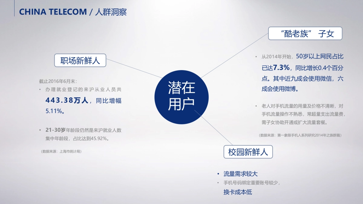 2016中国电信创意概念整合全案_第7页