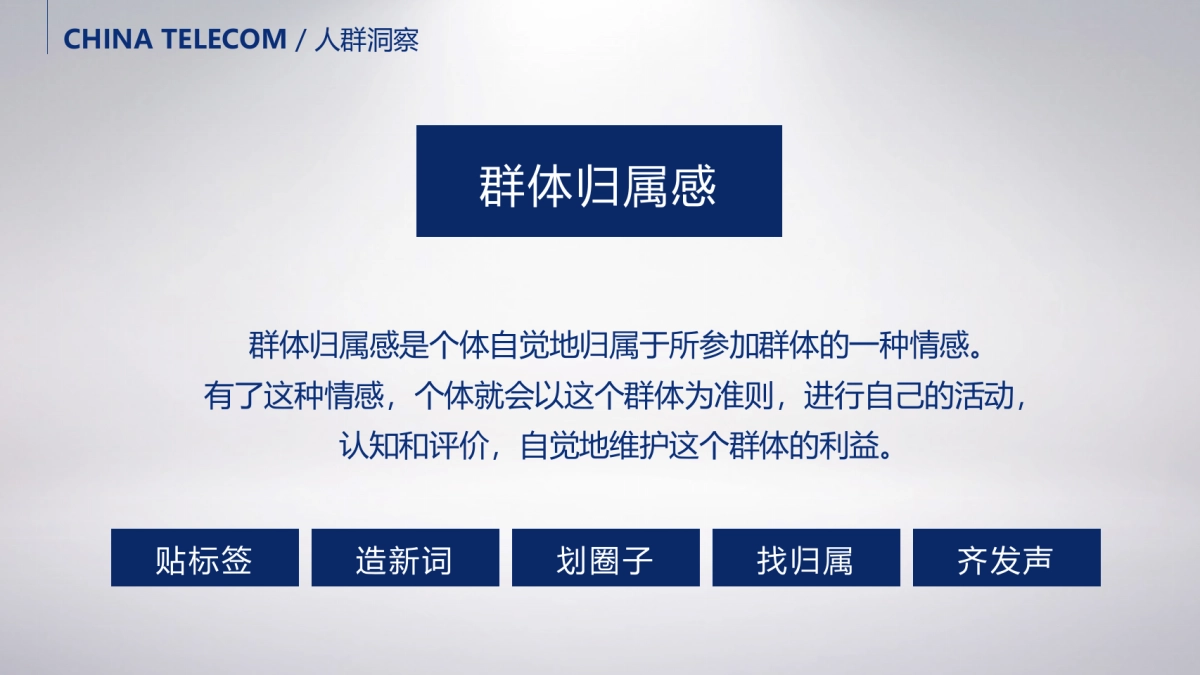 2016中国电信创意概念整合全案_第9页