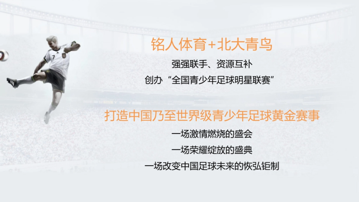 2017铭人体育全国青少年足球明星联赛整合营销方案_第10页