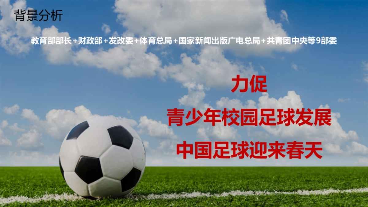 2017铭人体育全国青少年足球明星联赛整合营销方案_第4页