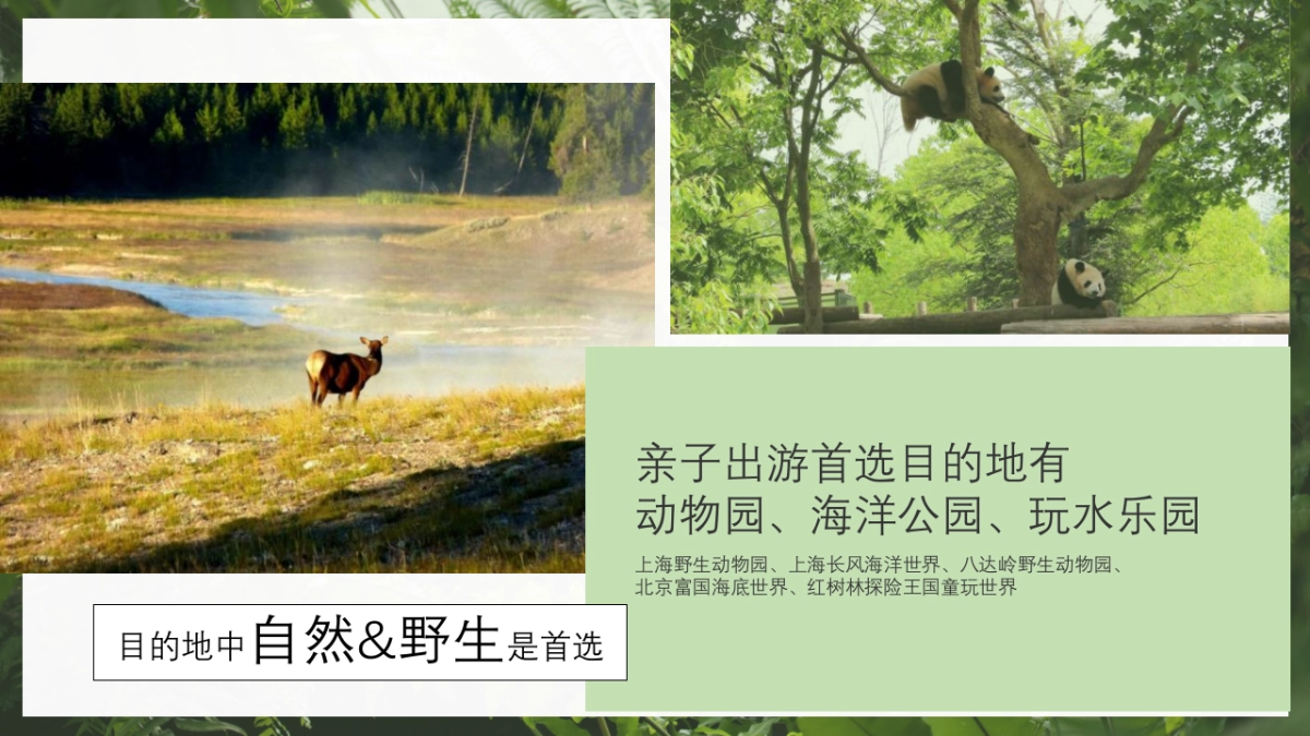 诺优能奶粉品牌考拉超级品牌日整合营销方案_第4页