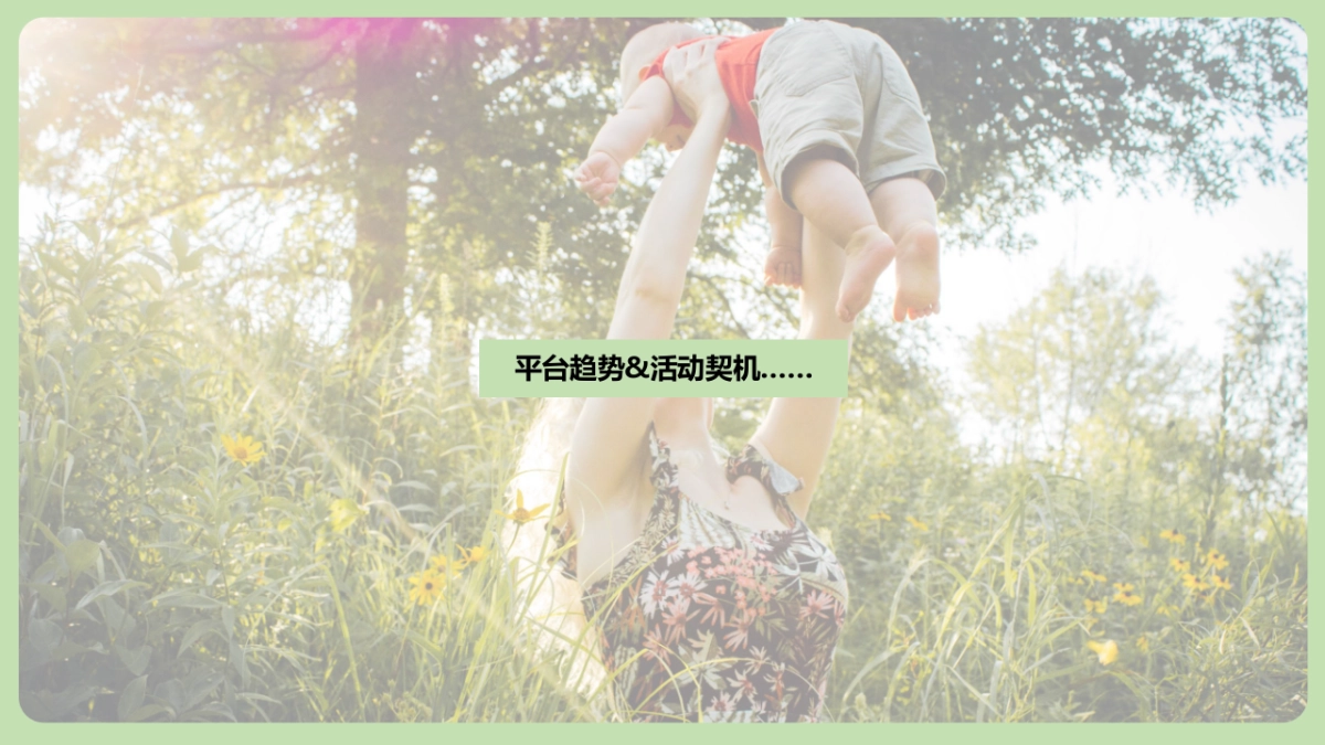 诺优能奶粉品牌考拉超级品牌日整合营销方案_第7页