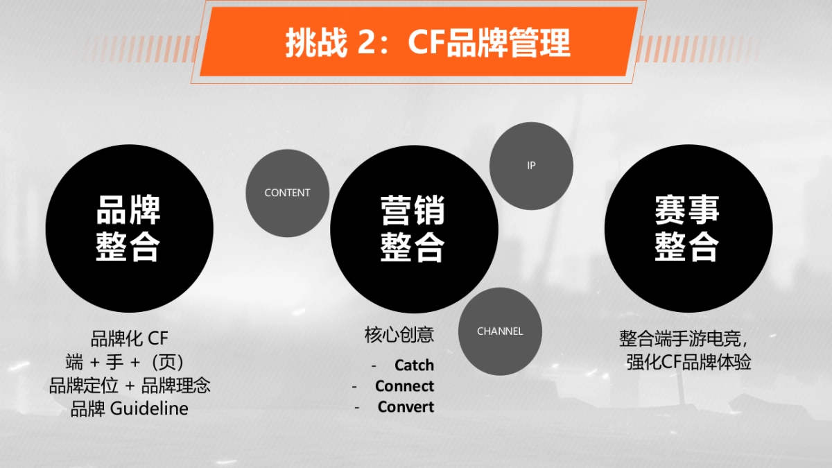 CF_2017_整合营销方案_第10页