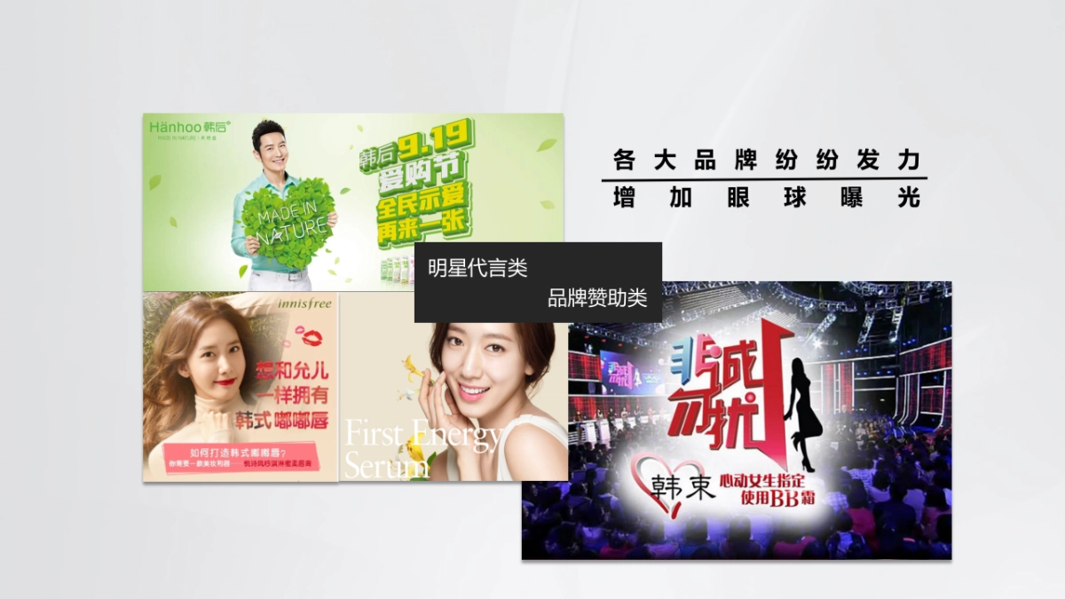 LG蝶妆社会化整合营销方案_第5页