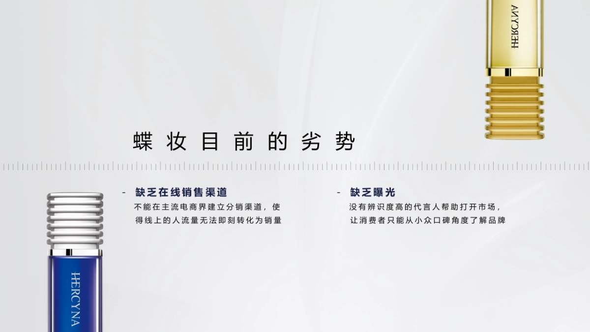 LG蝶妆社会化整合营销方案_第7页