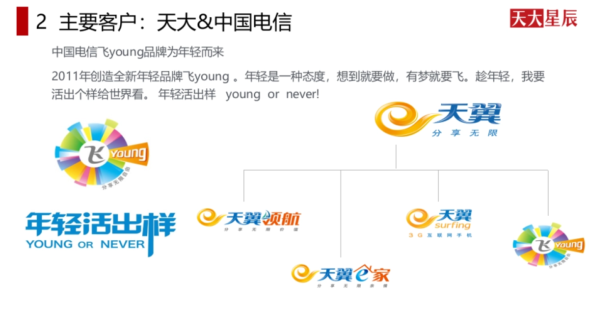 国美智能手机整合方案_第10页