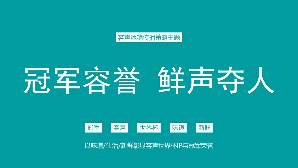 海信&容声冰箱整合营销策略方案_第10页