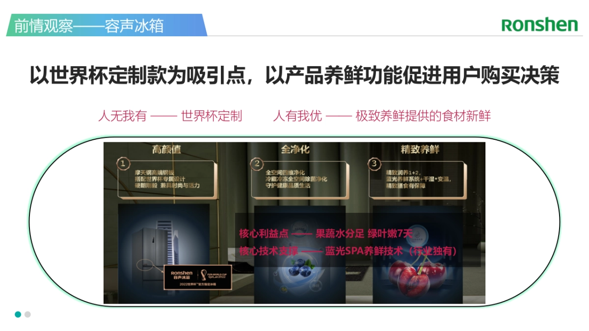 海信&容声冰箱整合营销策略方案_第9页