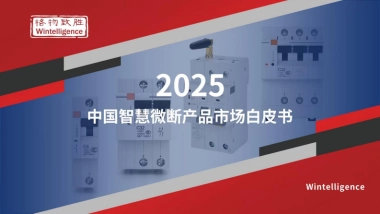 2025年中国智慧微断产品市场白皮书-格物致胜.pdf