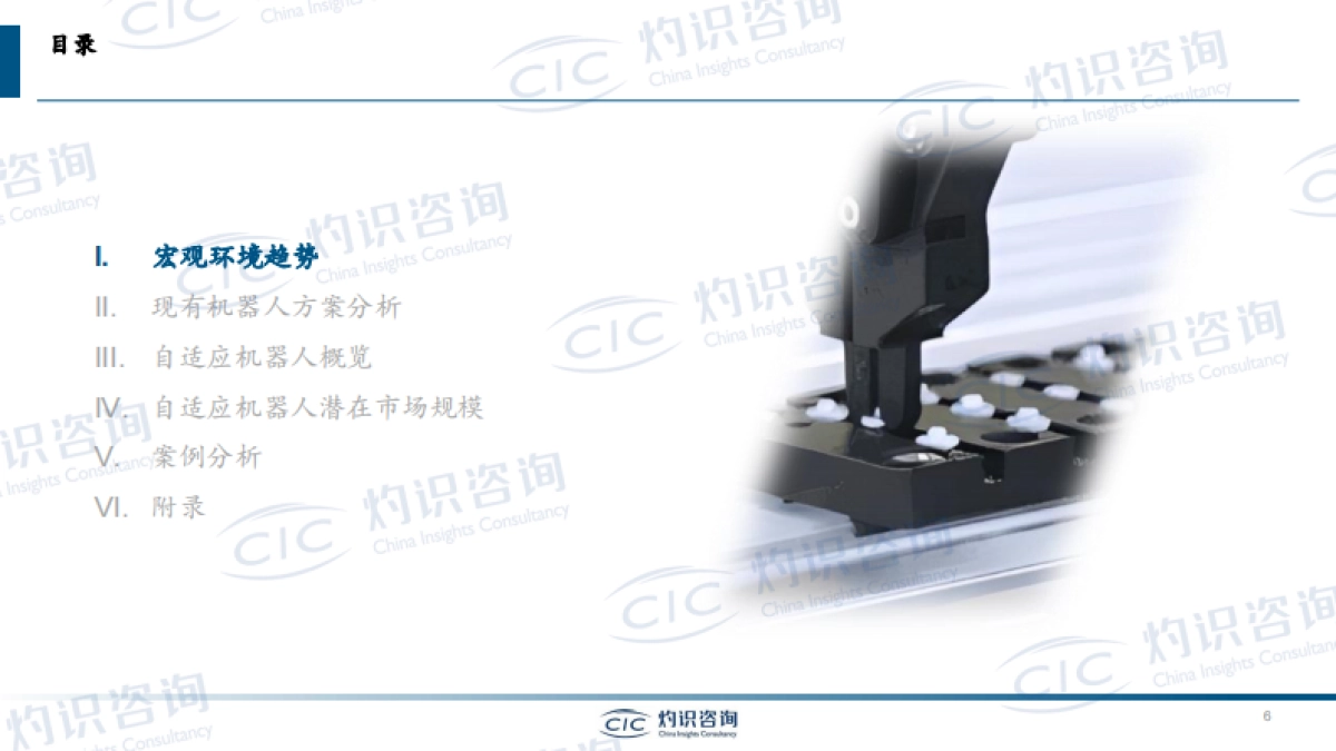 2025年自适应机器人行业白皮书-CIC灼识咨询.pdf_第6页