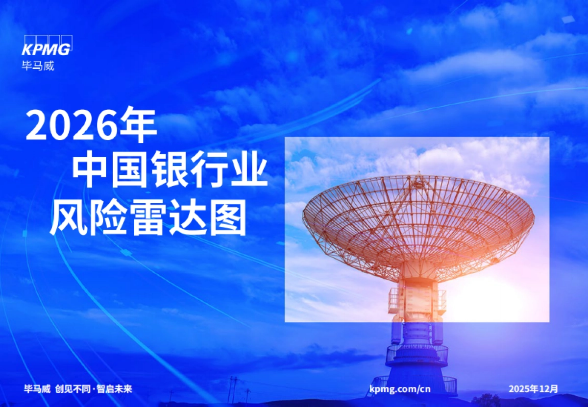 2026年中国银行业风险雷达图-毕马威.pdf_第1页