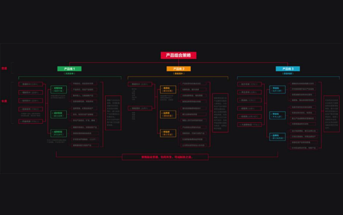 同仁堂产品全案开发.pdf_第10页