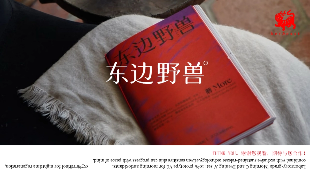 东边野兽PPT.pptx_第10页