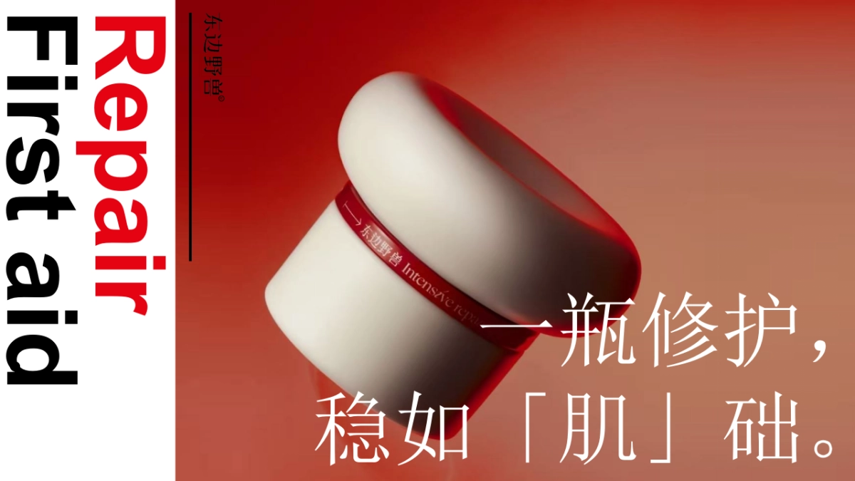 东边野兽PPT.pptx_第2页