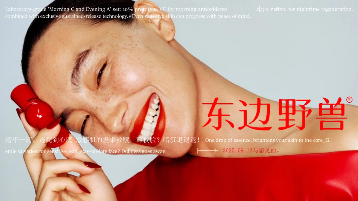 东边野兽PPT.pptx_第5页