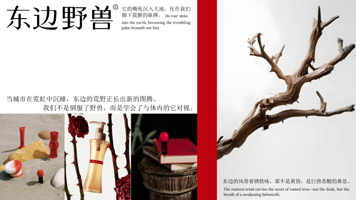 东边野兽PPT.pptx_第6页