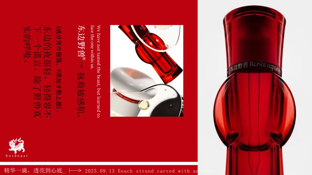 东边野兽PPT.pptx_第9页